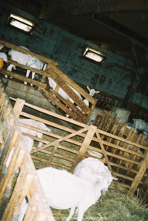 030729_004932-F1000019.JPG