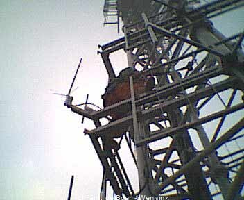 040303_115418-antenne5.jpg