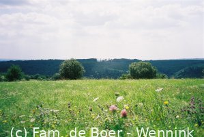 050923_222212-.thumb_F1150002.JPG