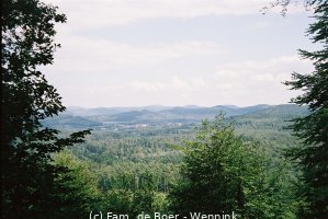 050923_222115-.thumb_F1140015.JPG