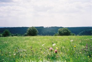 050923_222212-.thumb_F1150002.JPG