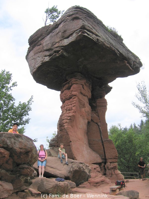 080716_121901-IMG_5310.JPG
