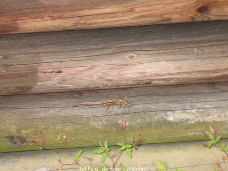 080714_135007-IMG_5279.JPG