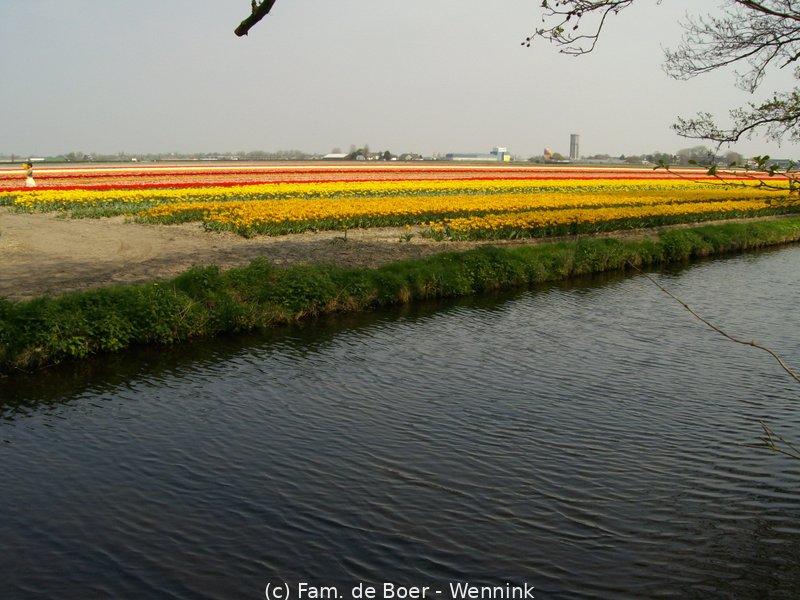 161129_162340-IMGP0924.JPG