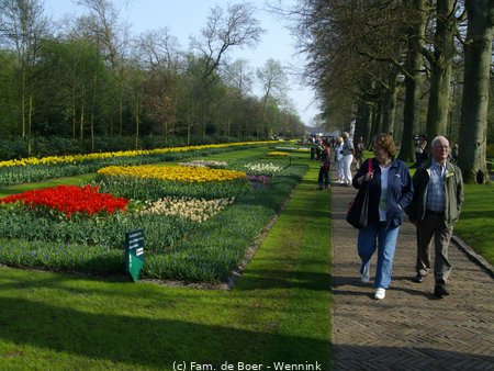 161129_162340-IMGP0849.JPG