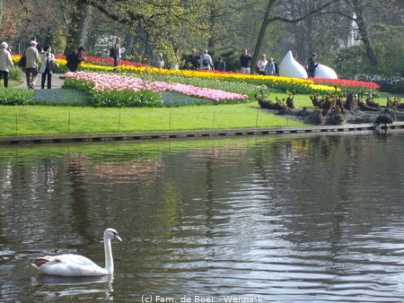 161129_162340-IMGP0865.JPG