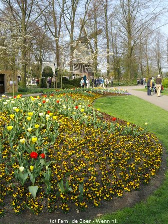 161129_162340-IMGP0922.JPG