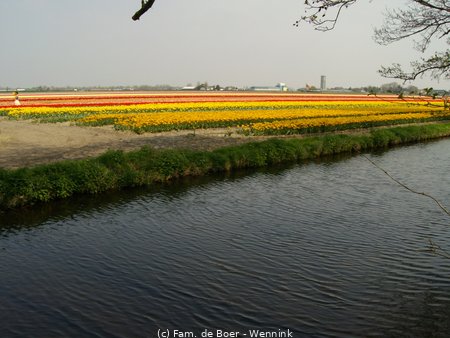 161129_162340-IMGP0924.JPG