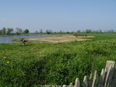 161129_162340-IMGP1007.JPG