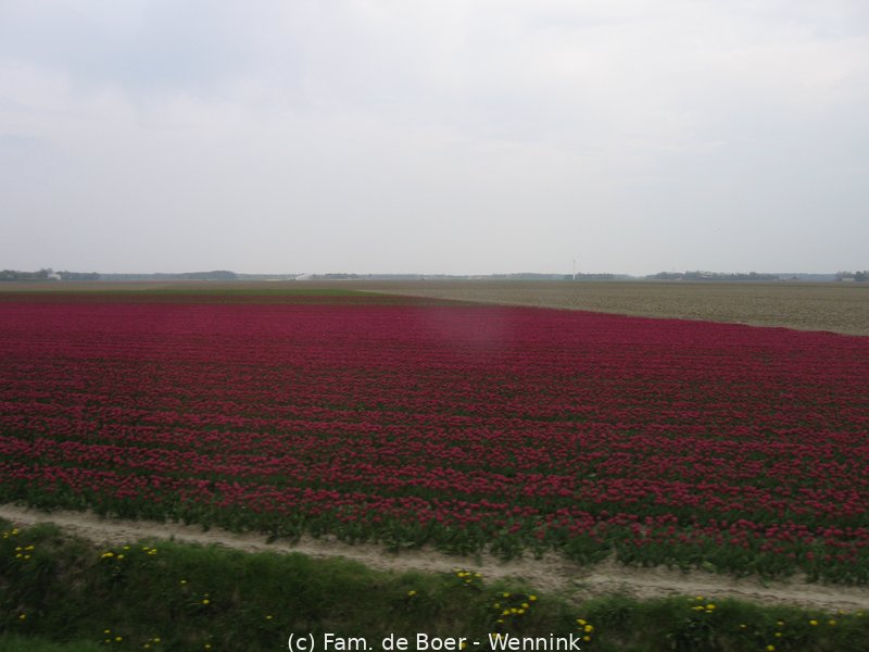 100425_160250-IMG_7818.JPG