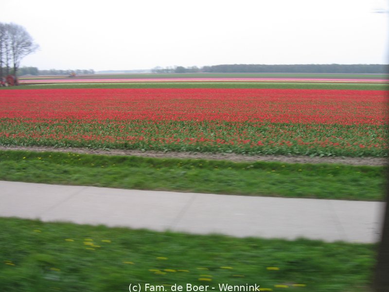 100425_160722-IMG_7819.JPG