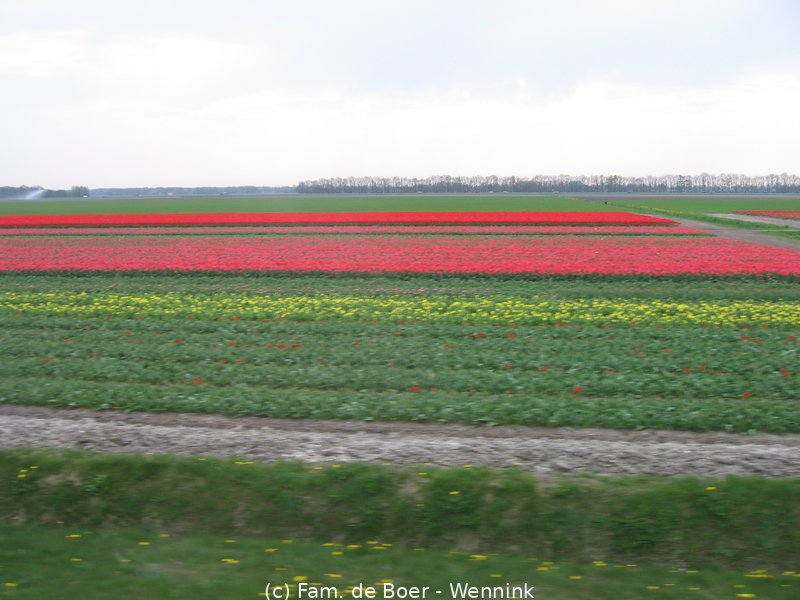 100425_161640-IMG_7820.JPG