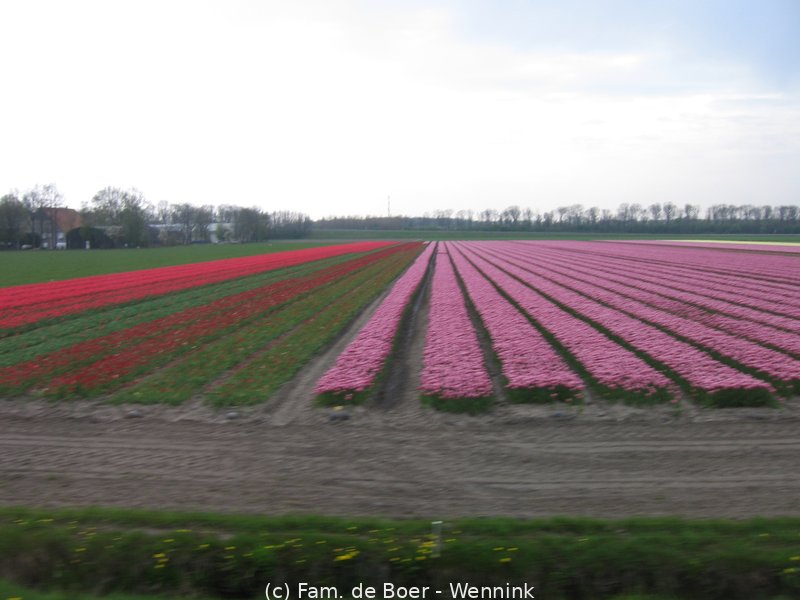 100425_162911-IMG_7823.JPG