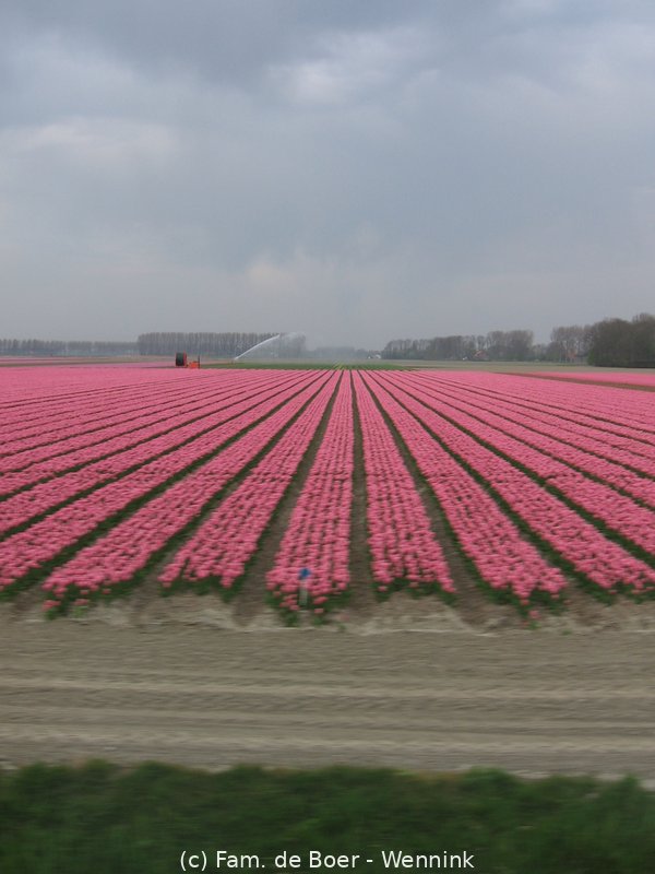 100425_163614-IMG_7827.JPG
