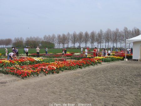 100425_145921-IMG_7788.JPG