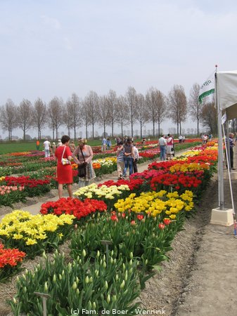 100425_145936-IMG_7789.JPG