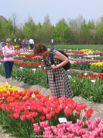 100425_151012-IMG_7797.JPG