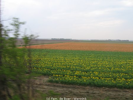 100425_154831-IMG_7810.JPG