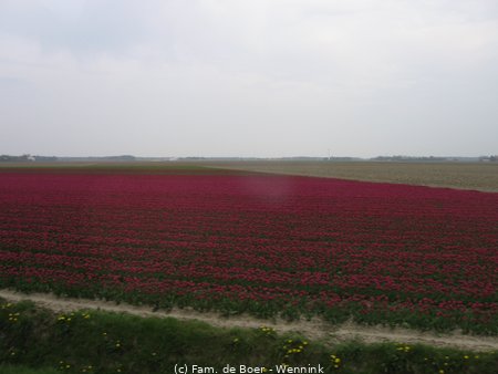 100425_160250-IMG_7818.JPG