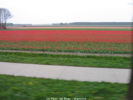 100425_160722-IMG_7819.JPG