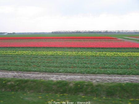 100425_161640-IMG_7820.JPG