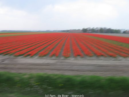 100425_161942-IMG_7821.JPG