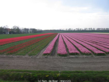100425_162911-IMG_7823.JPG