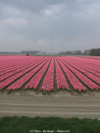 100425_163614-IMG_7827.JPG