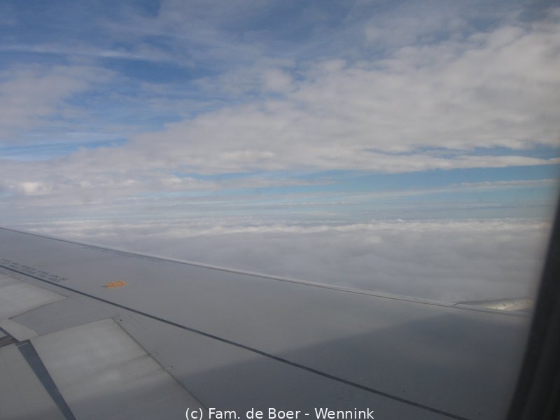 101115_113921-IMG_9393.JPG