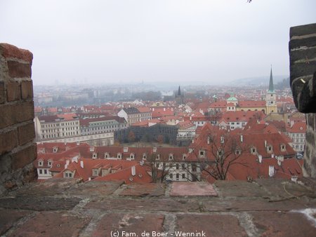 101115_155907-IMG_9450.JPG