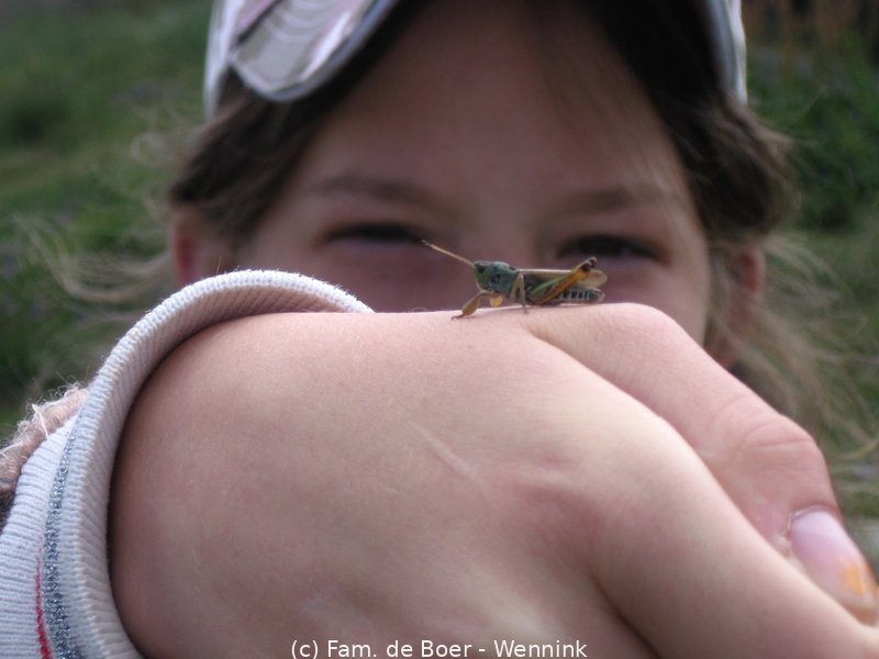 100728_140016-IMG_8531.JPG