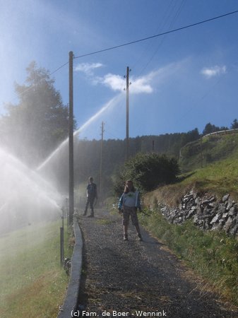 100730_174117-IMG_8601.JPG