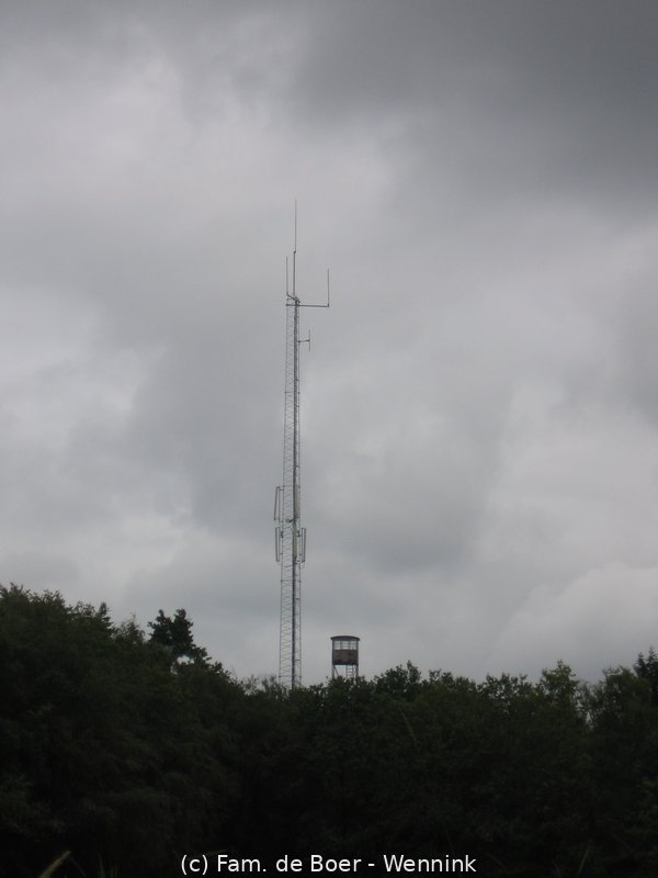 110726_123121-IMG_0226.JPG