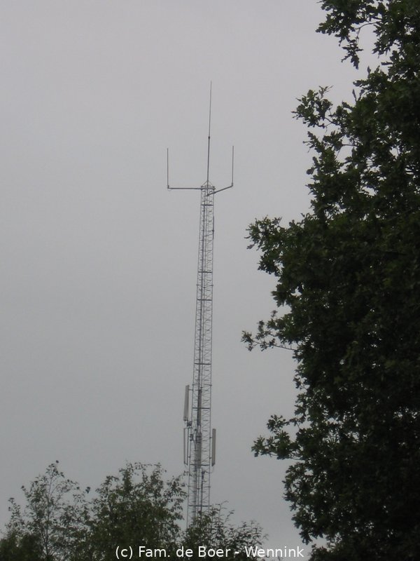 110726_140044-IMG_0239.JPG