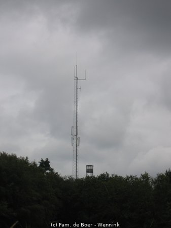 110726_123121-IMG_0226.JPG