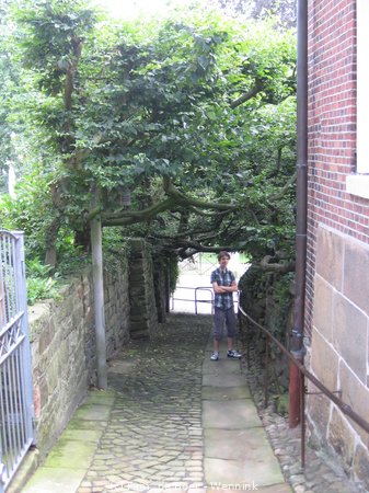 110727_160437-IMG_0300.JPG