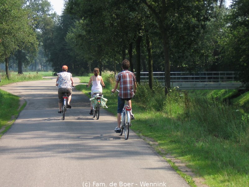 110804_123032-IMG_0467.JPG
