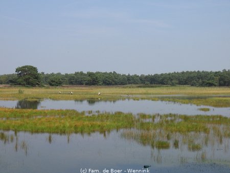 110804_140504-IMG_0473.JPG