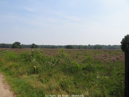 110804_141422-IMG_0477.JPG