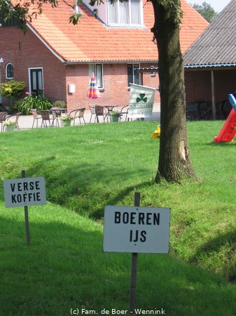 110804_152618-IMG_0485.JPG