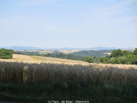 120813_121228-IMG_1106.JPG