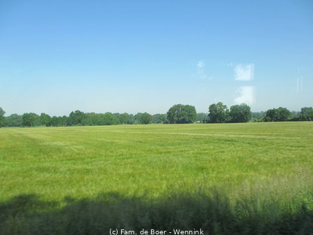 130618_093647-IMG_2443.JPG