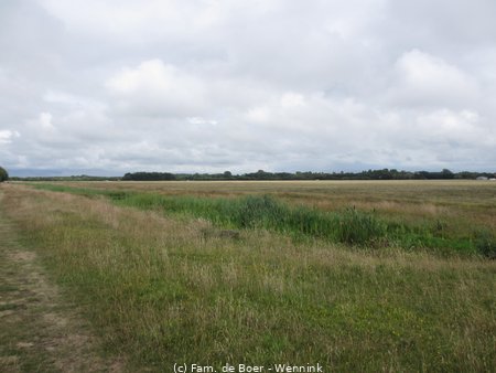 140713_160535-IMG_5679.JPG