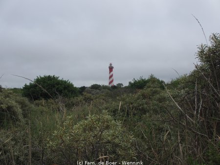 140713_164842-IMG_5685.JPG