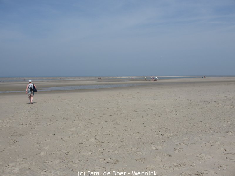 140718_132206-IMG_5700.JPG