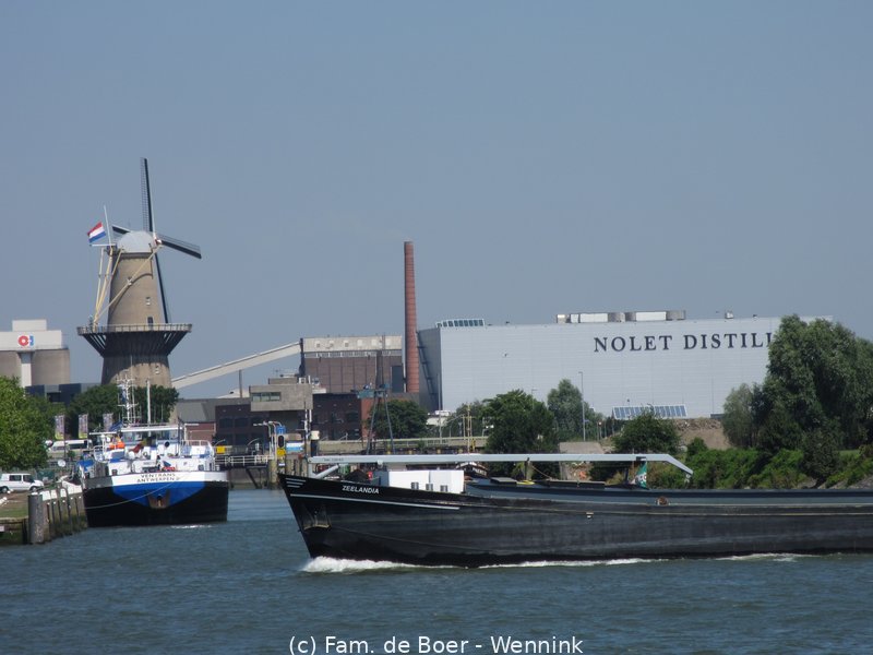 140723_124602-IMG_5824.JPG