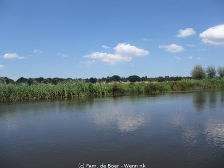 140724_133852-IMG_5917.JPG