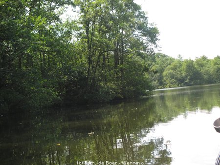 140724_140342-IMG_5926.JPG