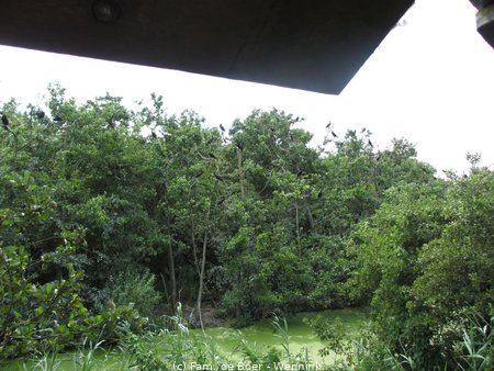 140724_150750-IMG_5933.JPG