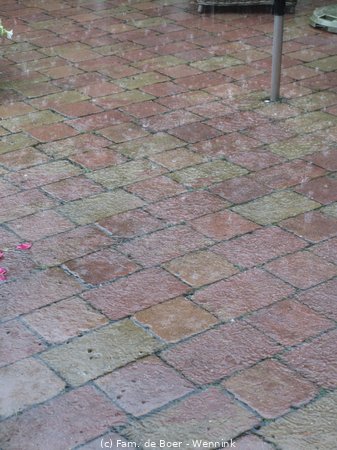 140728_135334-IMG_5996.JPG